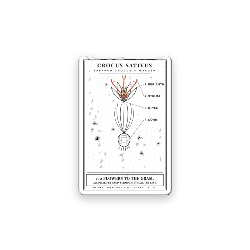 WALLED IN 'CROCUS' Sticker