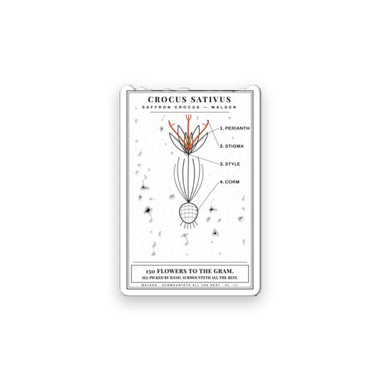 WALLED IN 'CROCUS' Sticker
